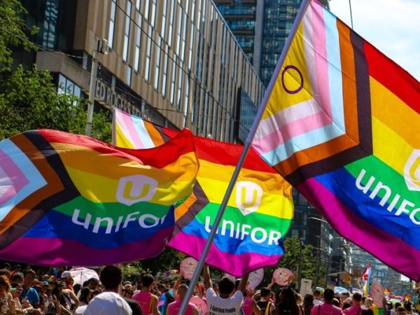 Trans Day of Visibility (TDOV), March&nbsp;31